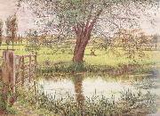 William Bell Scott Landscape with a Gate and Watermeadow (mk46) oil painting picture wholesale